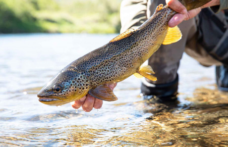 12 Keys To Becoming A Great Fly Angler Hatch Magazine Fishing