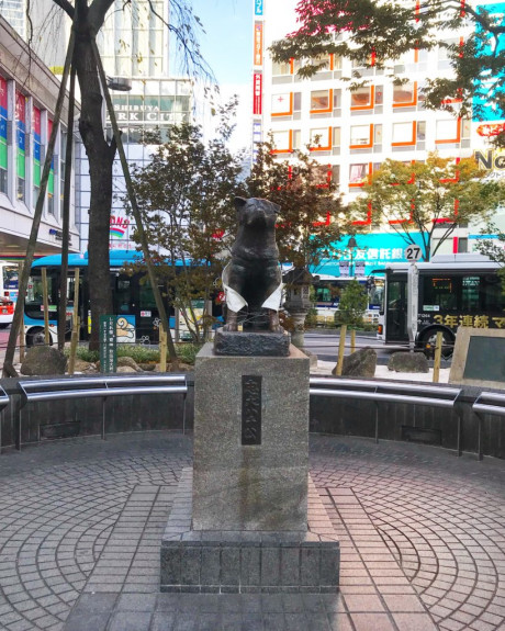 Sette Giorni A Tokyo Quali Quartieri Visitare E Tanti Consigli Utili Valigia