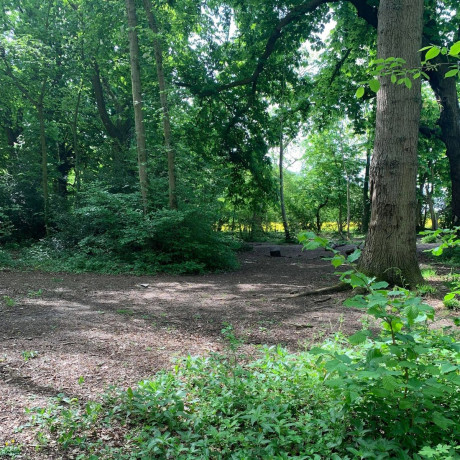 Vile Man Masturbating At Swindon Lake Tried To Grab Woman S Wiltshire