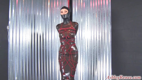 Download And Watch Online Free Porn Videos Ashley Renee Bondage Clips Ashley Renee Medical